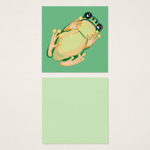 Green tree frog