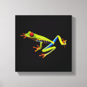 Green Tree Frog Canvas Print