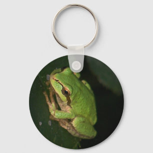 Green Tree Frog Keychain