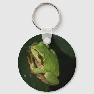 Green Tree Frog Keychain