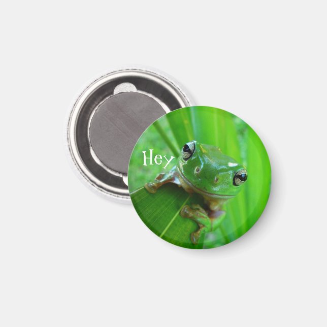 Green Tree Frog Magnet (Front/Back)