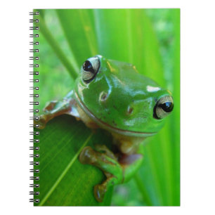 Green Tree Frog Notebook