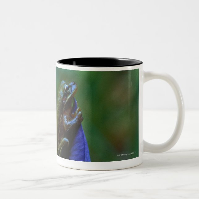 Green Tree Frog on Iris Two-Tone Coffee Mug (Right)