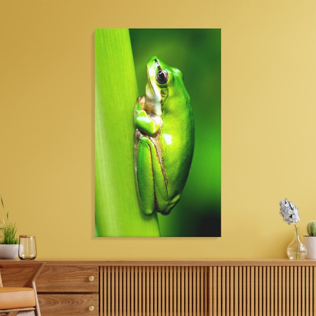 Green Tree Frog on Reed Nature Macro Canvas Wall Print (Insitu(LivingRoom))