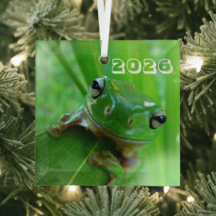 Green Tree Frog Ornament