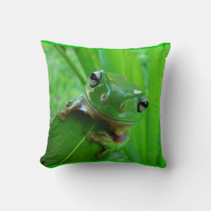 Green Tree Frog Pillow