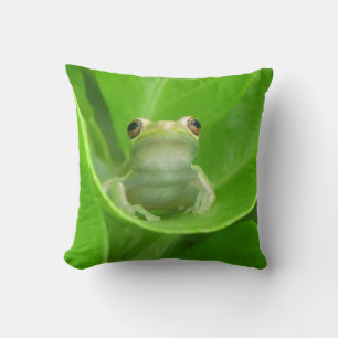 Green Tree Frog Pillow