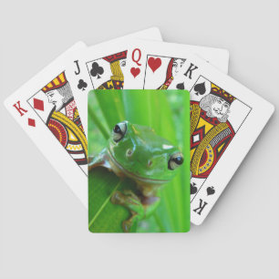 Green Tree Frog Playing Cards