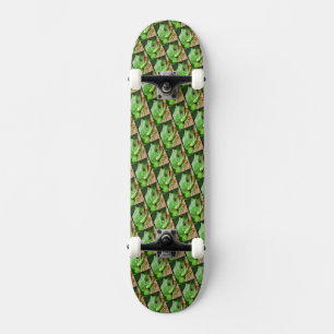 Green Tree Frog Skateboard
