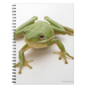 Green Tree Frog Spiral Notebook