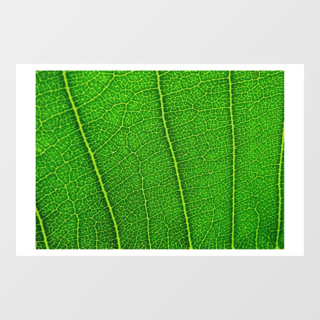 Green Tree Leaf (Sheet)