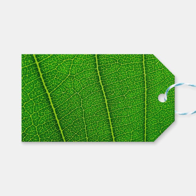 Green Tree Leaf Gift Tags (Front (Horizontal))