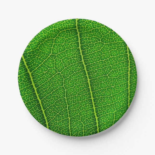 Green Tree Leaf Paper Plate (Front)