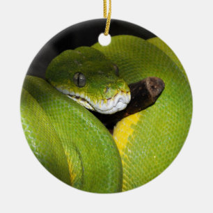 Green tree python ceramic tree decoration