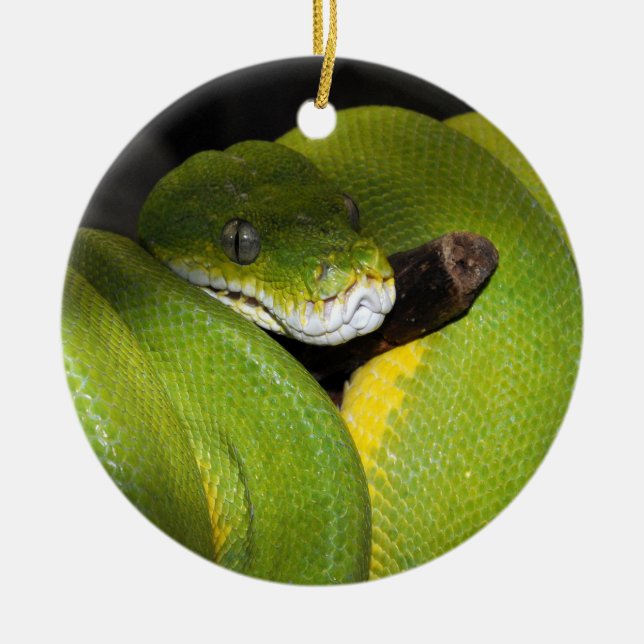 Green tree python ceramic tree decoration (Front)
