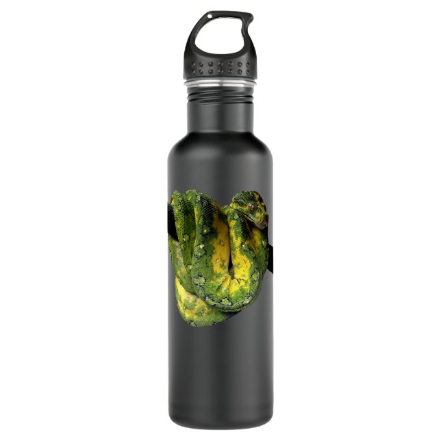 Green Tree Python Reptile Photography 710 Ml Water Bottle (Front)