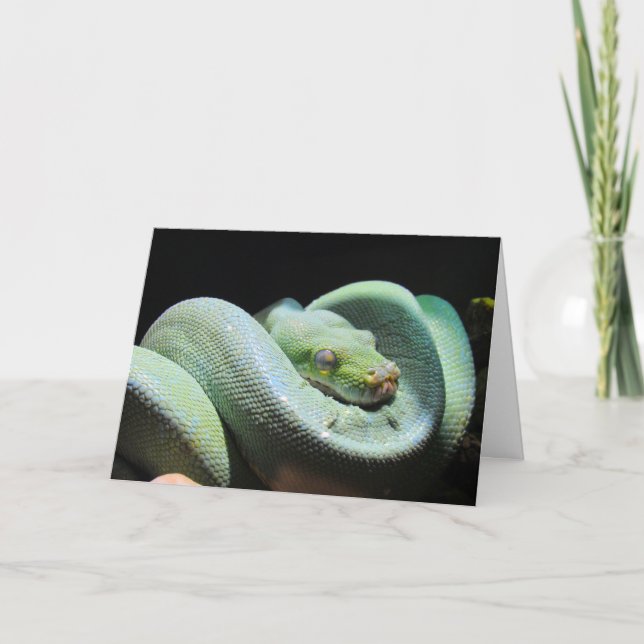 Green Tree Python - Snake Greeting Card (Front)
