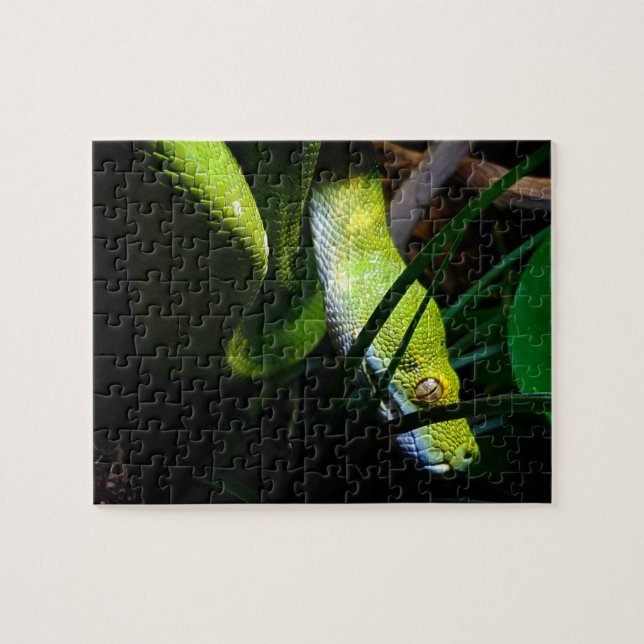 Green Tree Python Snake Owner Jigsaw Puzzle (Horizontal)