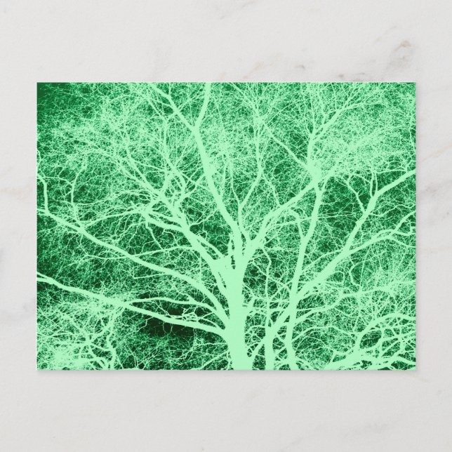 Green tree silhouette postcard (Front)