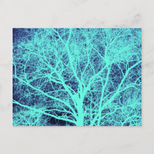 Green tree silhouette postcard