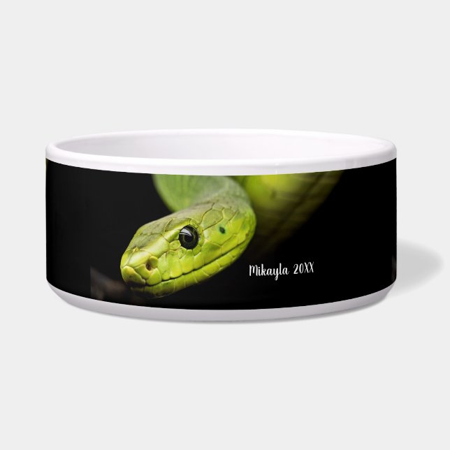Green Tree Snake  (Front)