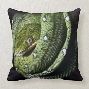 Green tree snake emerald boa in Bolivia Cushion