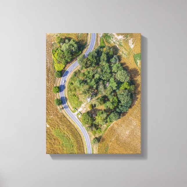 Green trees between two roads canvas print (Front)