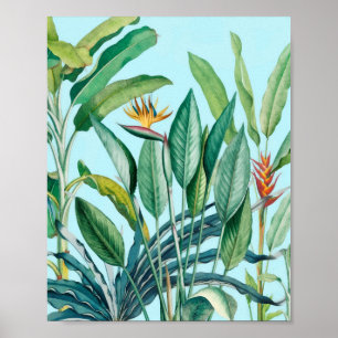 Green Tropical Jungle Banana Tree Strelitzia Poster