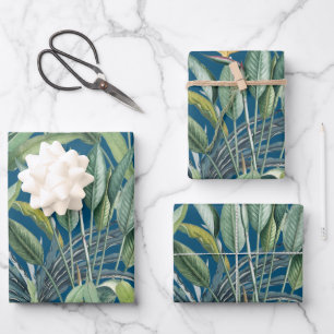 Green Tropical Jungle Banana Tree Strelitzia Wrapping Paper Sheet