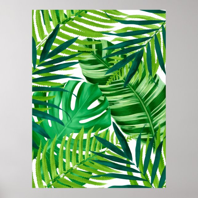 Green Tropical Leaves  Poster (Front)