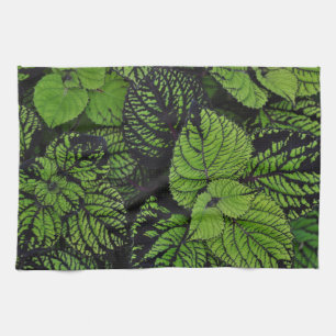Green tropical leaves tea towel