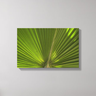 Green Tropical Palm Frond Canvas Print