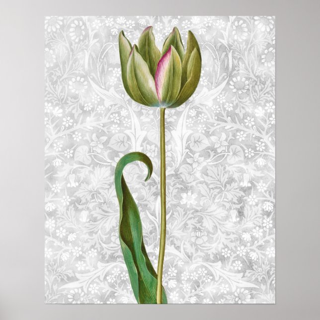 Green Tulip Bud Vintage Retro Art Poster (Front)