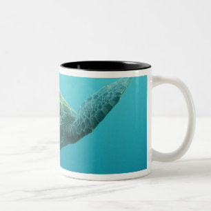 Green Turtle (Chelonia mydas agassisi), Central Two-Tone Coffee Mug
