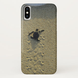 Green Turtle, (Chelonia mydas), hatchling Case-Mate iPhone Case