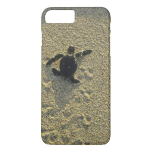Green Turtle, (Chelonia mydas), hatchling iPhone 8 Plus/7 Plus Case
