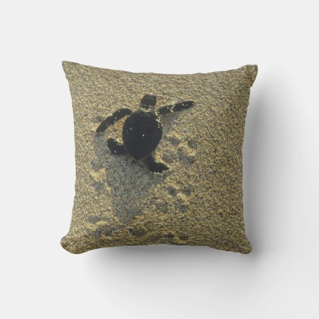 Green Turtle, (Chelonia mydas), hatchling Cushion (Front)