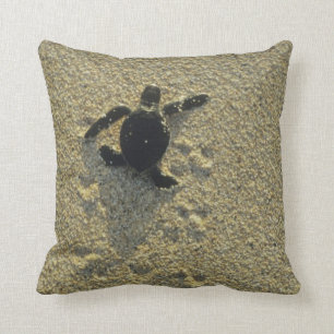 Green Turtle, (Chelonia mydas), hatchling Cushion