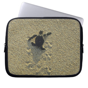 Green Turtle, (Chelonia mydas), hatchling Laptop Sleeve