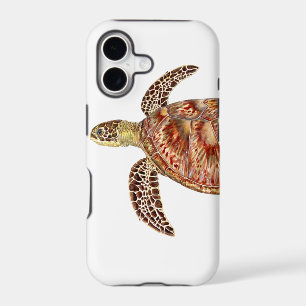 Green turtle - green Turtle Chelonia mydas
