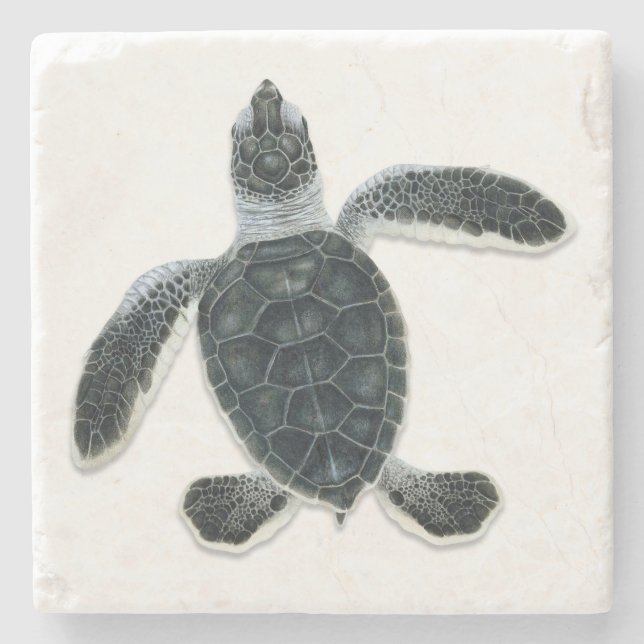 Green Turtle Hatchling Stone Coaster (Front)