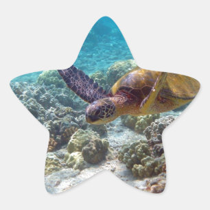 Green Turtle Star Sticker