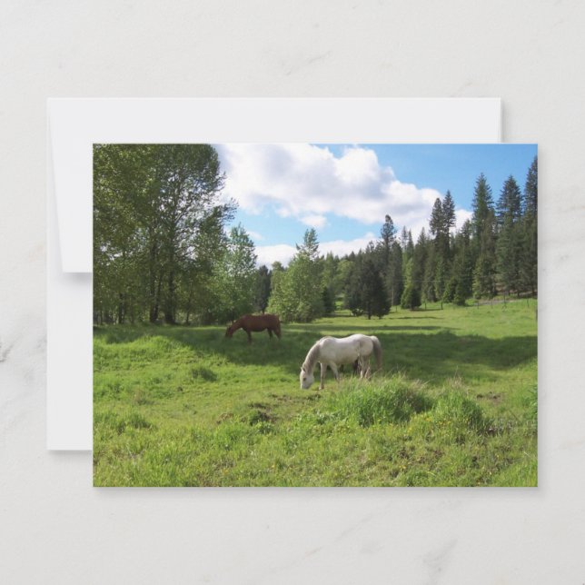 Green Valley Bible Verse Encouragement Card (Front)