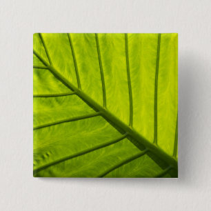Green veined leaves of tropical foliage in 2 15 cm square badge