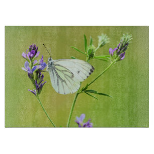 Green Veined White Butterfly Cutting Board