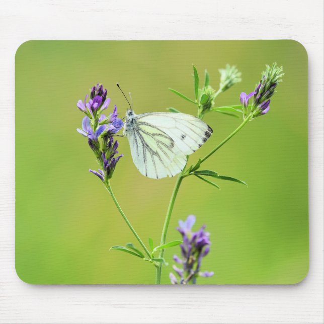 Green Veined White Butterfly Mouse Pad (Front)