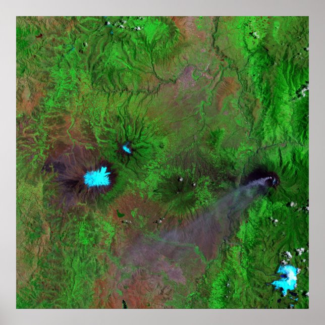 Green View Poster (Front)