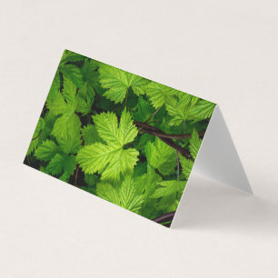 Green vines