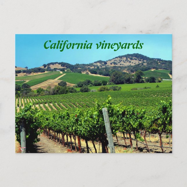green vineyard photograph postcard (Front)