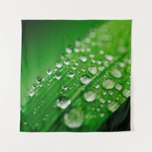 Green water leaf dew nature grass tapestry